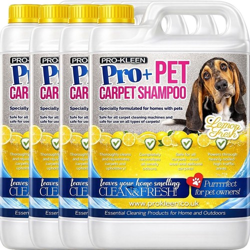 Pet carpet shampoo cleaning - pet,