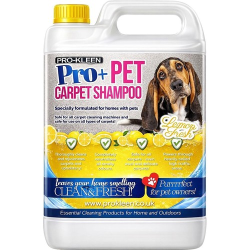 Pet carpet shampoo cleaning - pet,