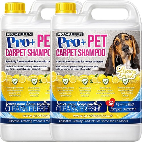 Pet carpet shampoo cleaning - pet,